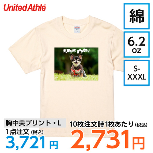 United Athle 6.2oz Tシャツ【7973】